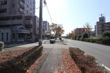 敷地西側の前面道路