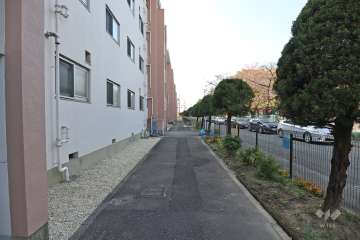 敷地内の通路