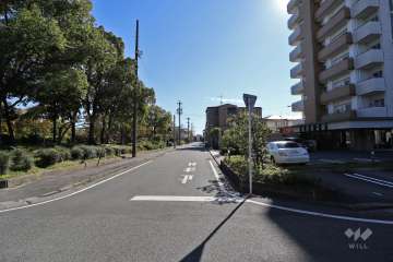 敷地東側の前面道路（北側から）
