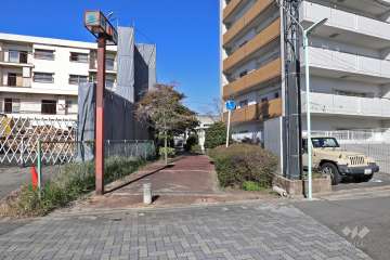 敷地西側の通路