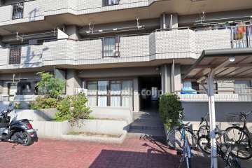 敷地南側の通路