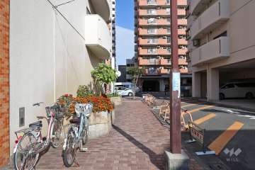 2号館と4号館の間の通路