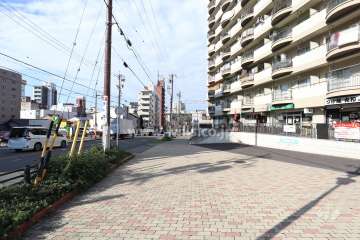 敷地南側の前面道路