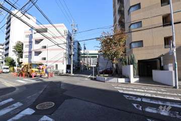 敷地北側の前面道路（西側から）