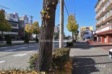 敷地南側の前面道路（大須通）
