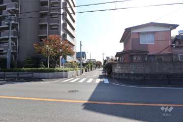 敷地西側の前面道路