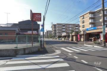 敷地東側の前面道路（北側から）