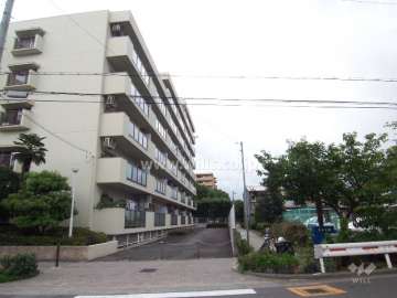 敷地西側に末広公園があります。