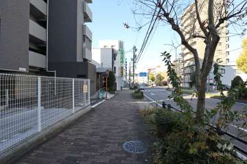 敷地北側の前面道路