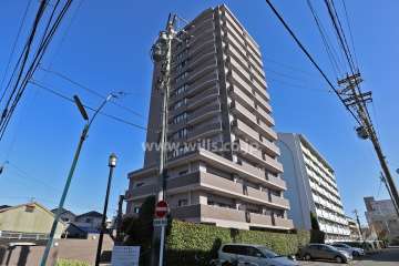 アドリーム露橋公園の外観（南西側から）