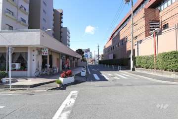 敷地北側の前面道路