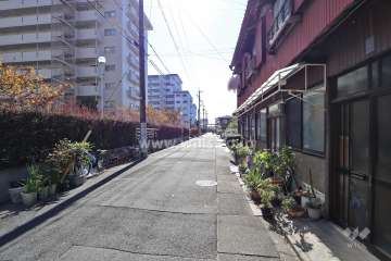 敷地西側の前面道路（北側から）