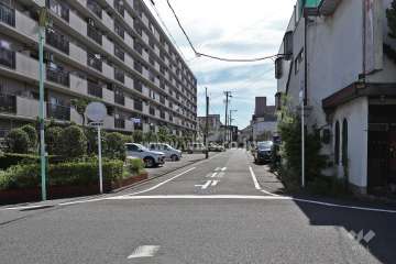 敷地南側の前面道路（西側から）
