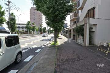 敷地北側の前面道路（県道68号）