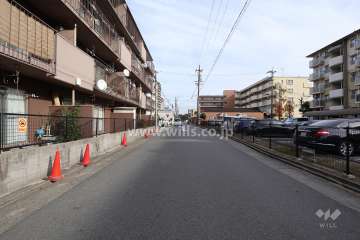 敷地南側の前面道路(西側から)