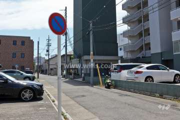 敷地北側の前面道路(西側から)