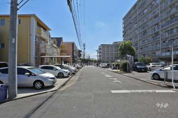 敷地南側の前面道路(東側から)
