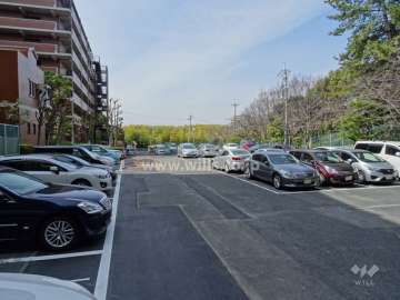 敷地内駐車場（平面式）