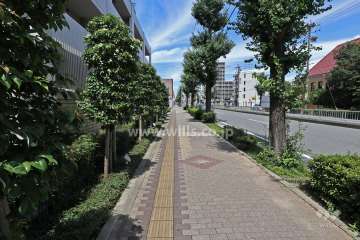 敷地南東側の前面道路（鳥居通り）