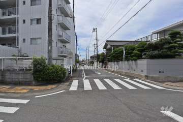 敷地西側の前面道路（北側から）
