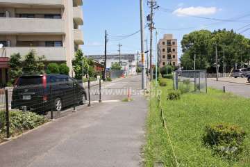 敷地東側の前面道路。