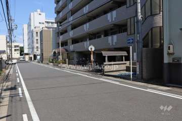 敷地北側の前面道路