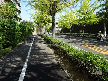 敷地東側の前面道路