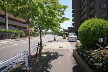 敷地北側の前面道路（正面道路）