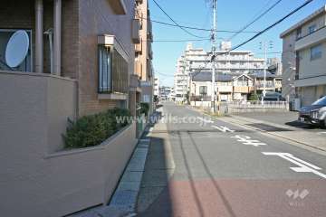 敷地東側の前面道路
