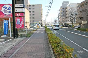 敷地南側の前面道路（西側から）