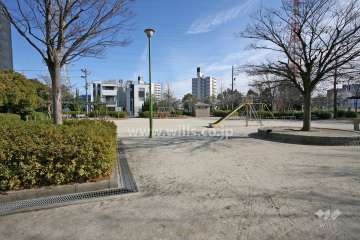 敷地南側の公園