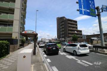 敷地東側の前面道路