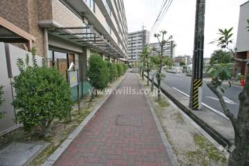 敷地南西側前面道路