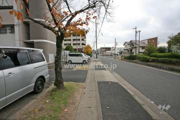 敷地西側の前面道路（北側から）