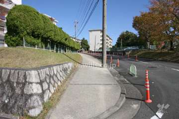 敷地南側の前面道路(西側から)