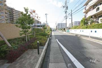 敷地北側の前面道路