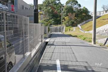 敷地北側の前面道路(東側から)