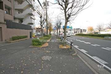 敷地北側の前面道路
