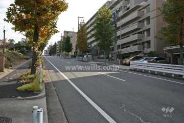 敷地北側の前面道路(西側から)