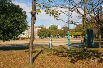 敷地に隣接する公園