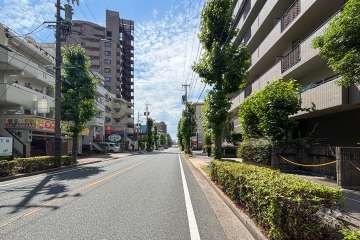 敷地南側の前面道路