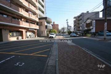 敷地南側の前面道路