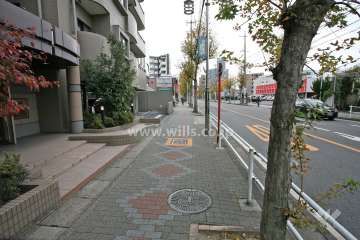 敷地前面道路