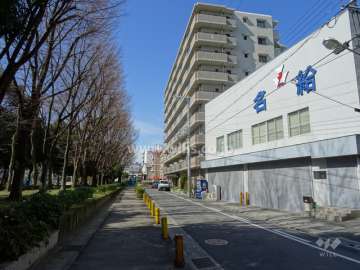 敷地南側の前面道路