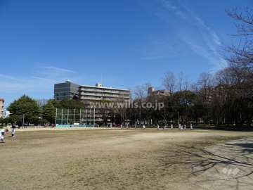藤和シティホームズ江坂の遠景。敷地南側には『南吹田公園』があります。