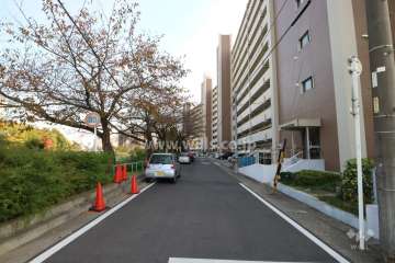 敷地北側の前面道路