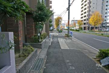 敷地北側の前面道路