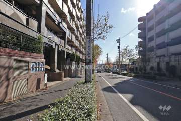敷地南西側の前面道路（北西側から)