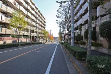 敷地北側の前面道路（西側から）