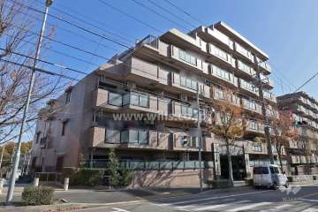ネオハイツ島田東の外観（西側から)